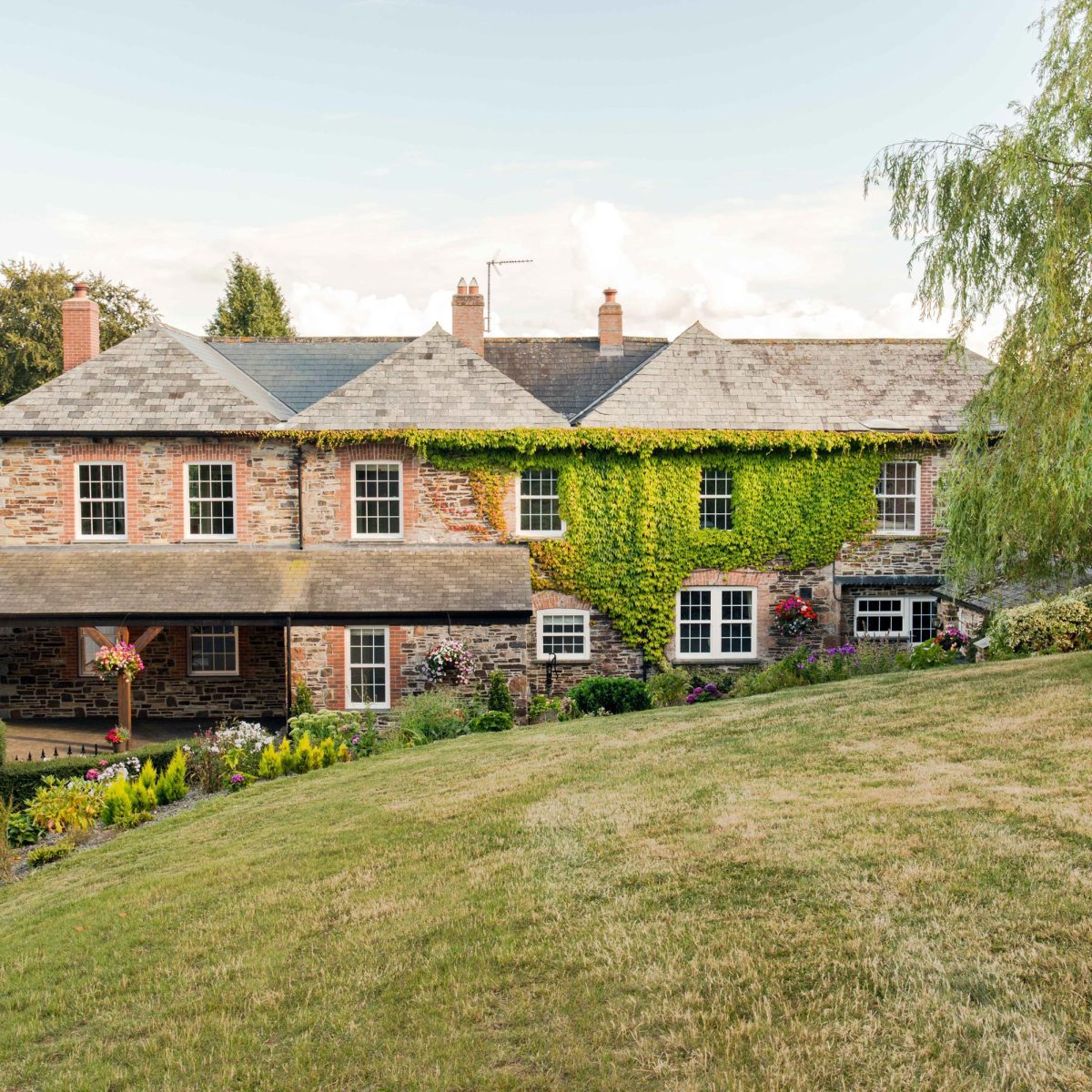 A view of the house with ivy on the exterior wall at Wooladon Estate