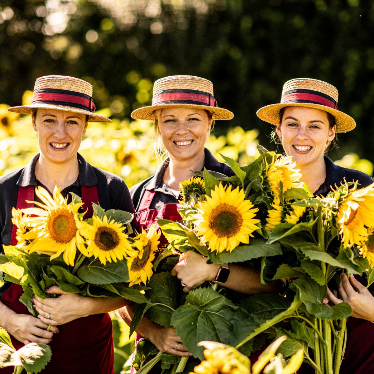 Three ladies from Strawberry Fields Farm shop in straw hats holding bunches of sunflowers in a sunflower field.